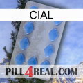 Cial 21